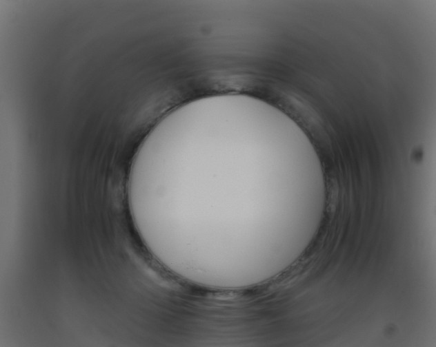 X0000093410414200710120920