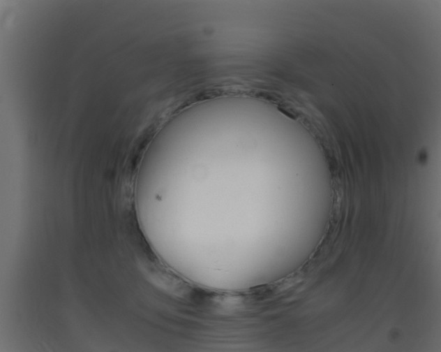X0000093410419200710120920