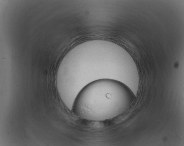 X0000093410421200710120920
