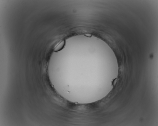 X0000093410423200710120920