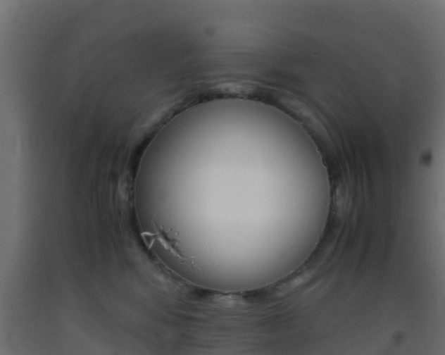 X0000093410424200710120920