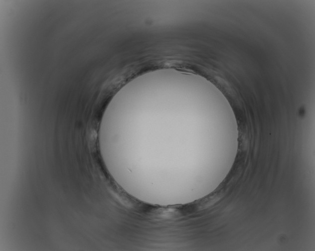 X0000093410427200710120920