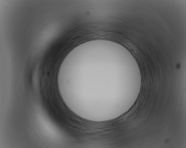 X0000093410429200710120920