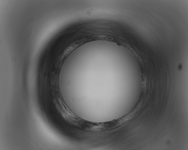 X0000093410430200710120920