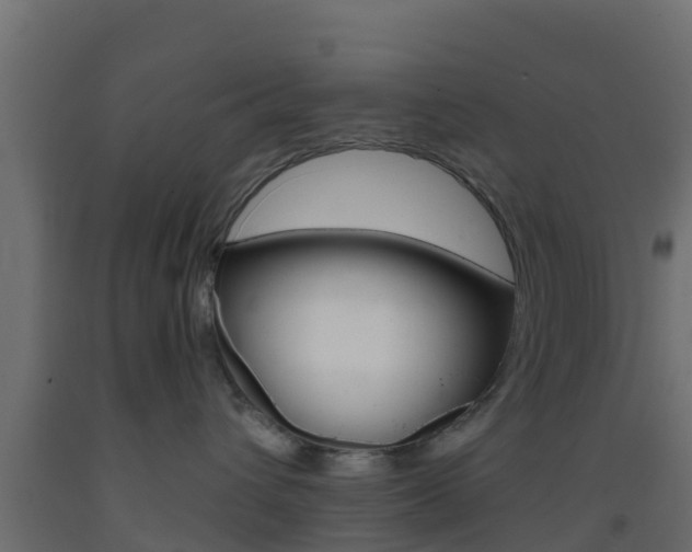 X0000093410432200710120920