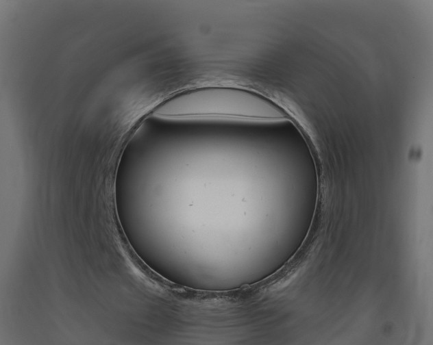 X0000093410433200710120919