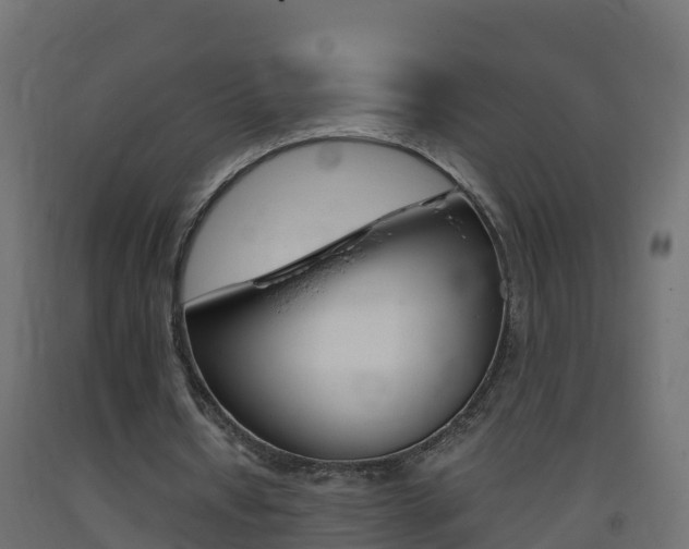 X0000093410434200710120919
