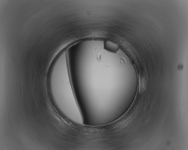 X0000093410435200710120919