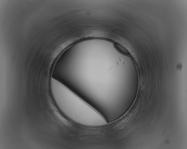 X0000093410437200710120919