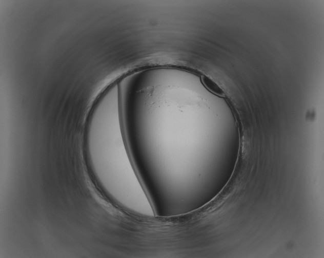 X0000093410438200710120919