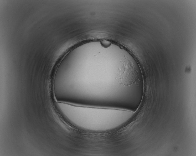 X0000093410439200710120919