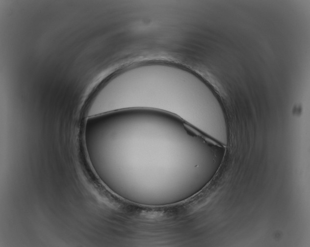 X0000093410440200710120919