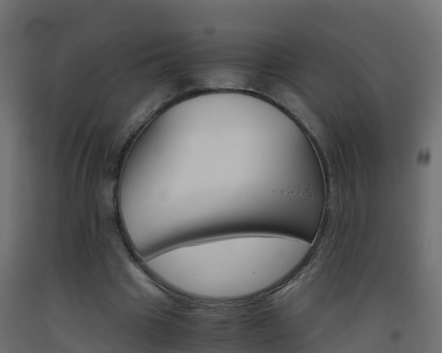 X0000093410441200710120919