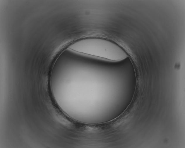 X0000093410442200710120919