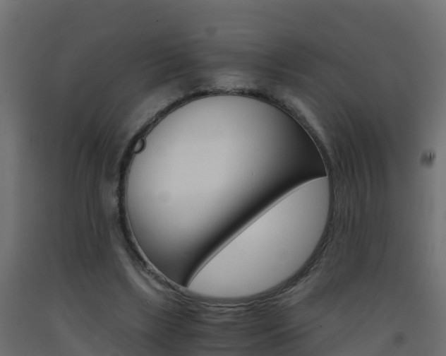 X0000093410443200710120919