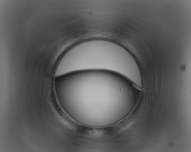 X0000093410444200710120919