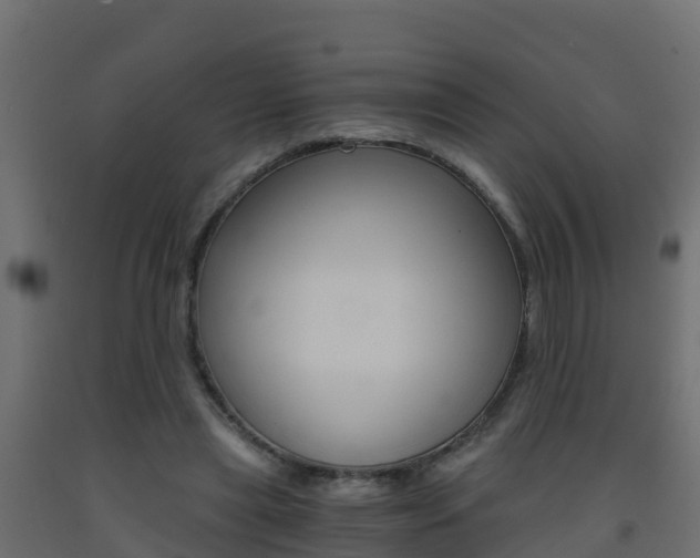 X0000093410445200710120919