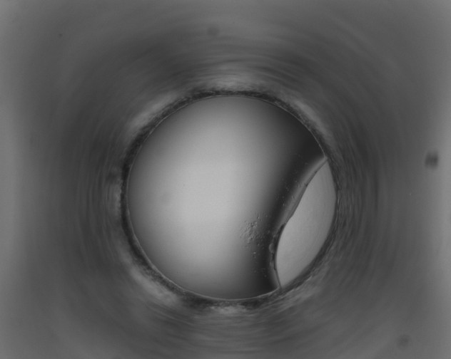 X0000093410446200710120919