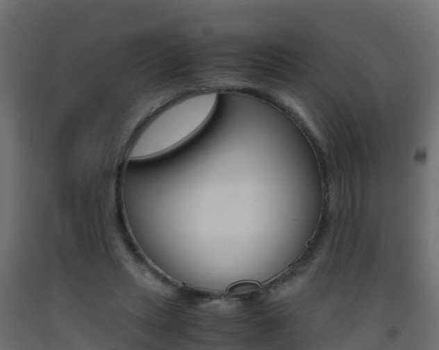 X0000093410447200710120919