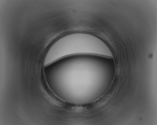 X0000093410448200710120919