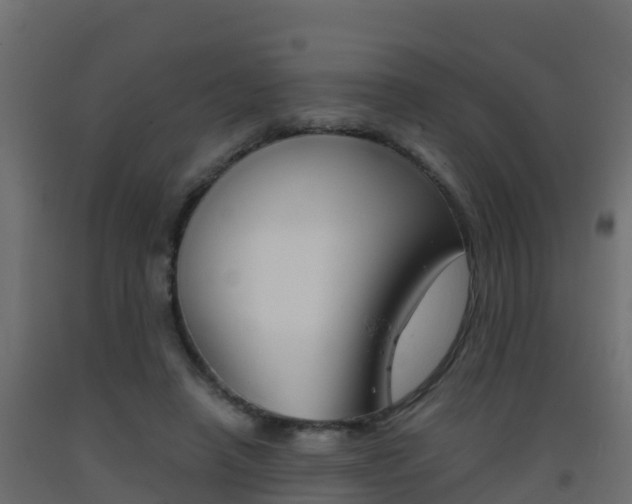 X0000093410450200710120919