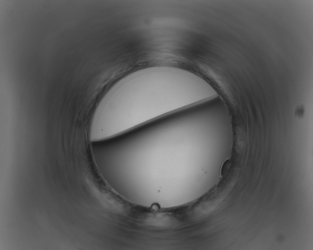 X0000093410451200710120919