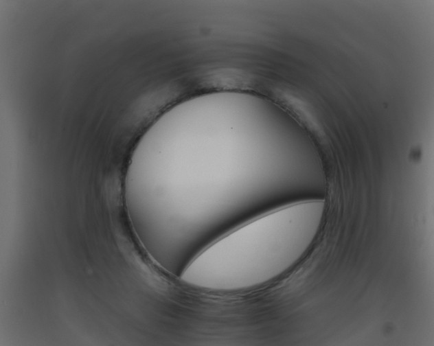 X0000093410453200710120919