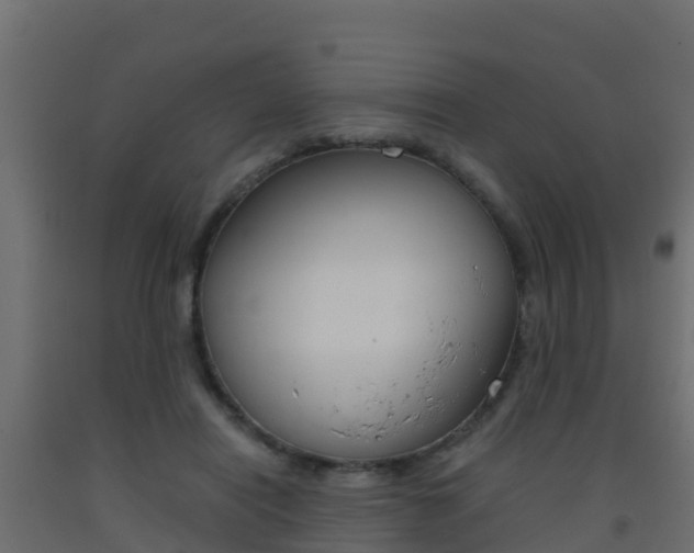 X0000093410454200710120919