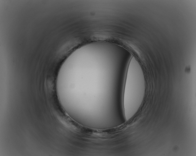 X0000093410455200710120919