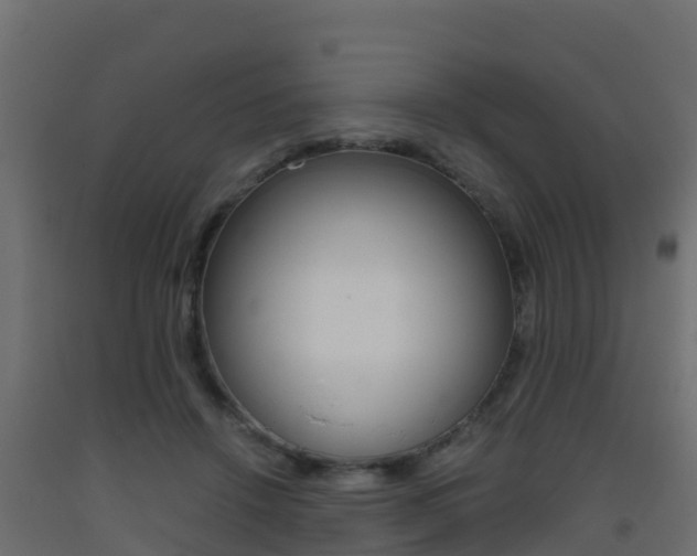 X0000093410456200710120919