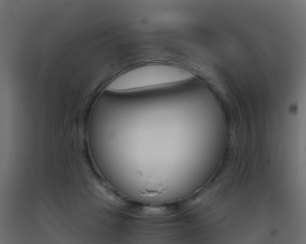 X0000093410457200710120919