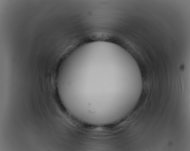 X0000093410460200710120919