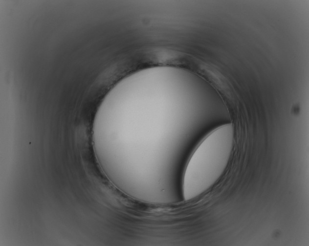 X0000093410461200710120919