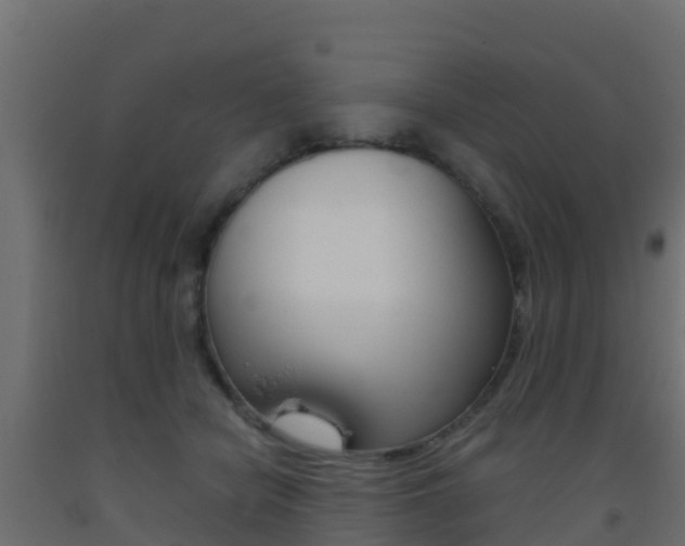 X0000093410462200710120919