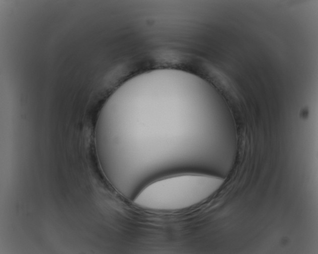 X0000093410463200710120919