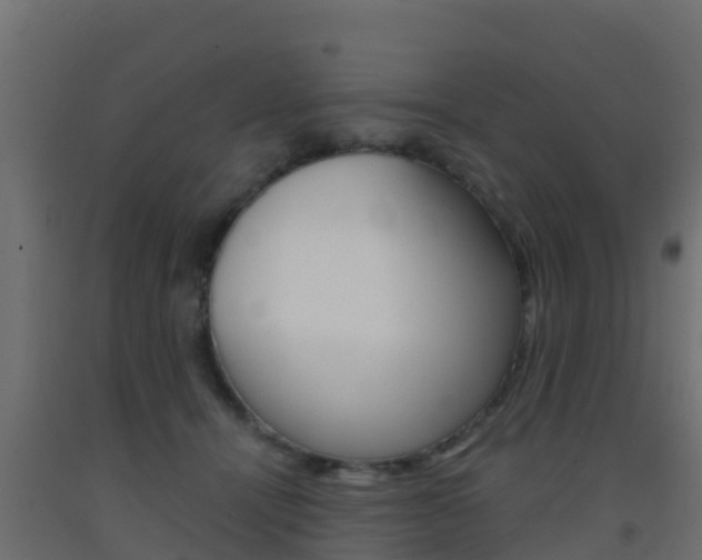 X0000093410464200710120919