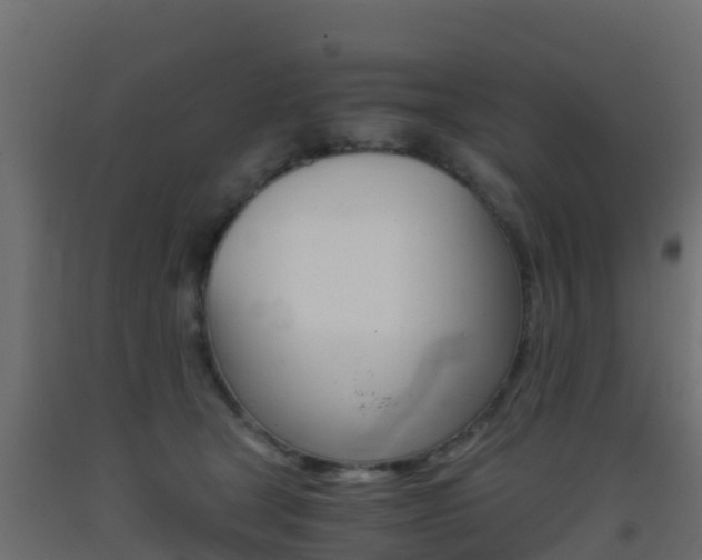 X0000093410465200710120919