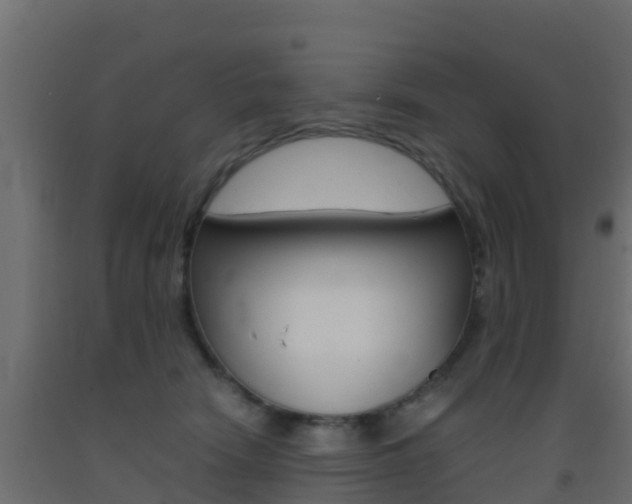 X0000093410466200710120919
