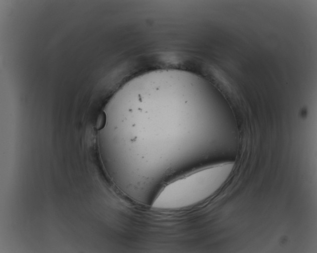 X0000093410467200710120919