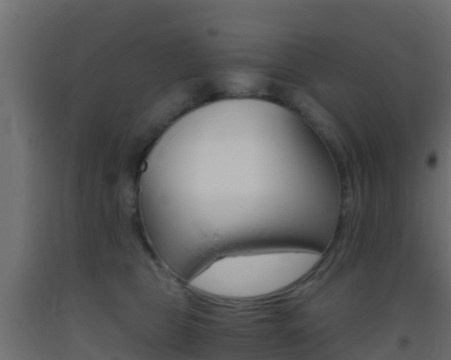 X0000093410469200710120919
