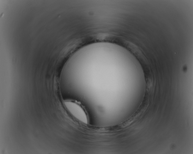 X0000093410470200710120919