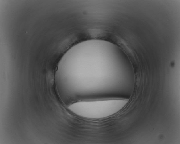 X0000093410471200710120919