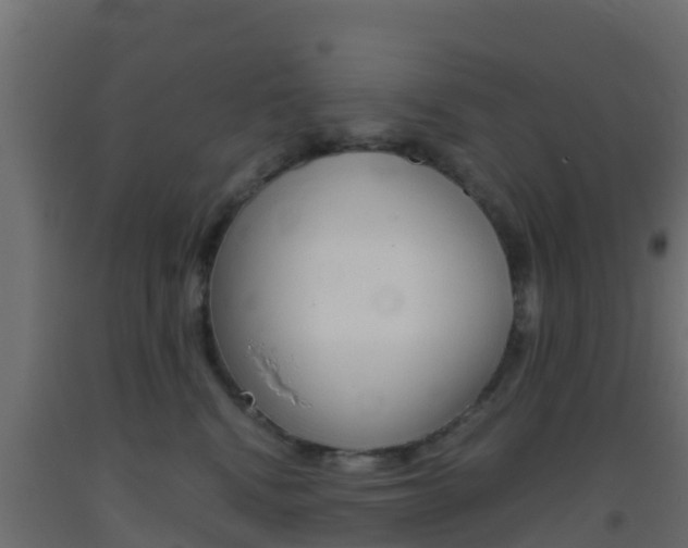 X0000093410472200710120919