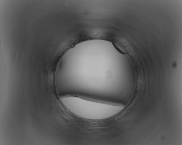 X0000093410473200710120919
