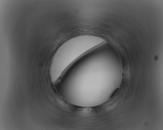 X0000093410474200710120919