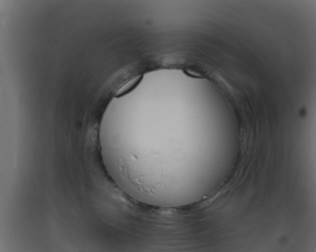 X0000093410475200710120919