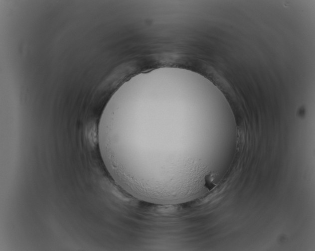 X0000093410479200710120920