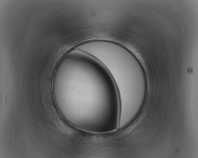 X0000093410481200710120919