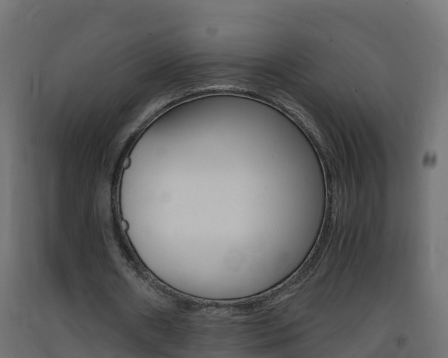X0000093410482200710120919