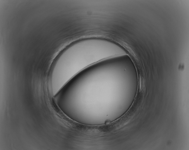 X0000093410483200710120919